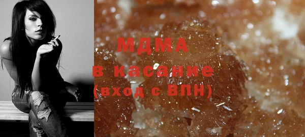шишки Ельня