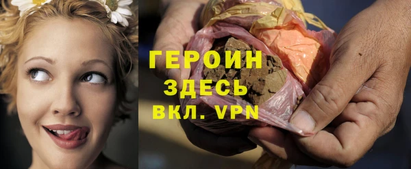 шишки Ельня