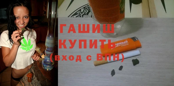 шишки Ельня