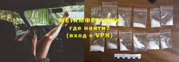 шишки Ельня