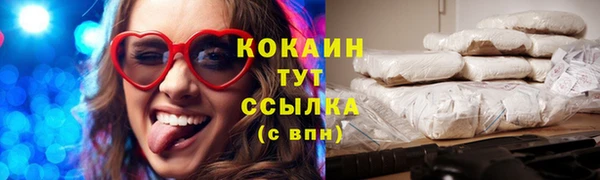 шишки Ельня