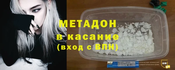 шишки Ельня