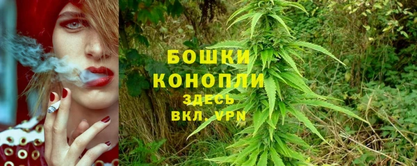 мескалин Елабуга