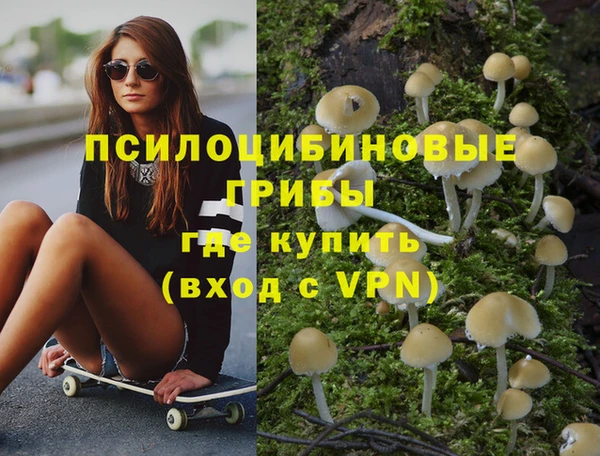 мескалин Елабуга