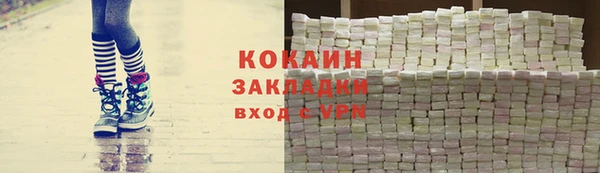 шишки Ельня
