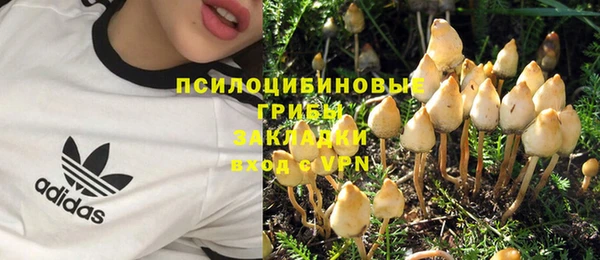 шишки Надым