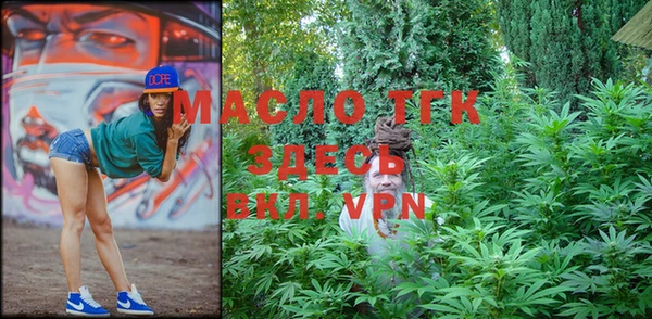 шишки Ельня