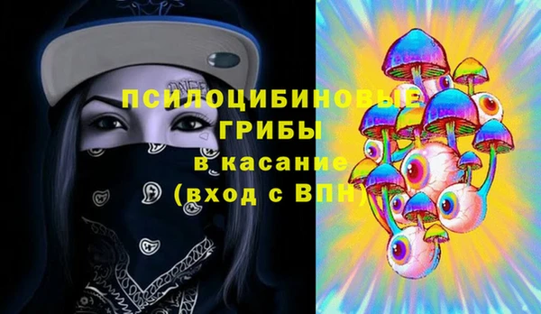 шишки Ельня