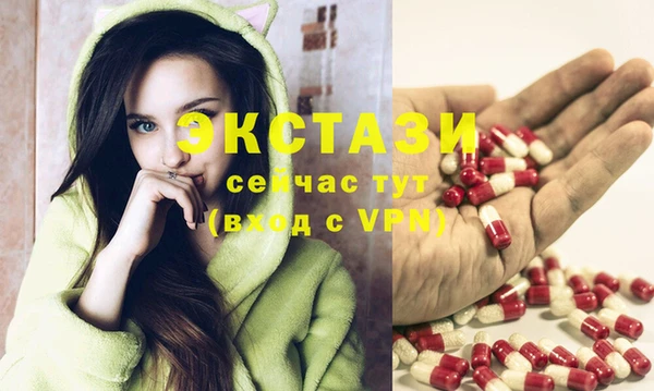 шишки Ельня