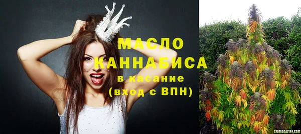 шишки Надым