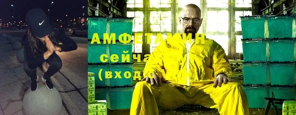 шишки Ельня