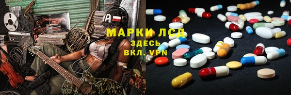 шишки Ельня