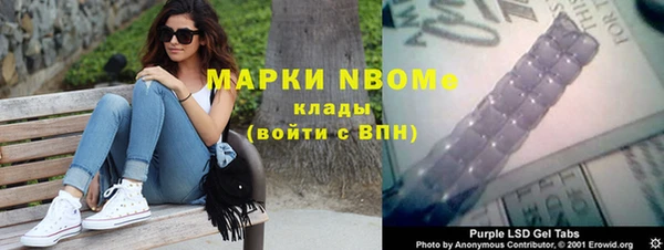 шишки Ельня