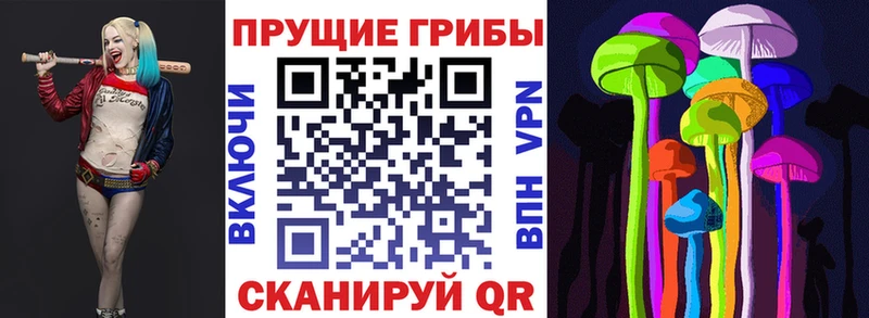 Псилоцибиновые грибы Psilocybine cubensis  Купить закладки  Донской 